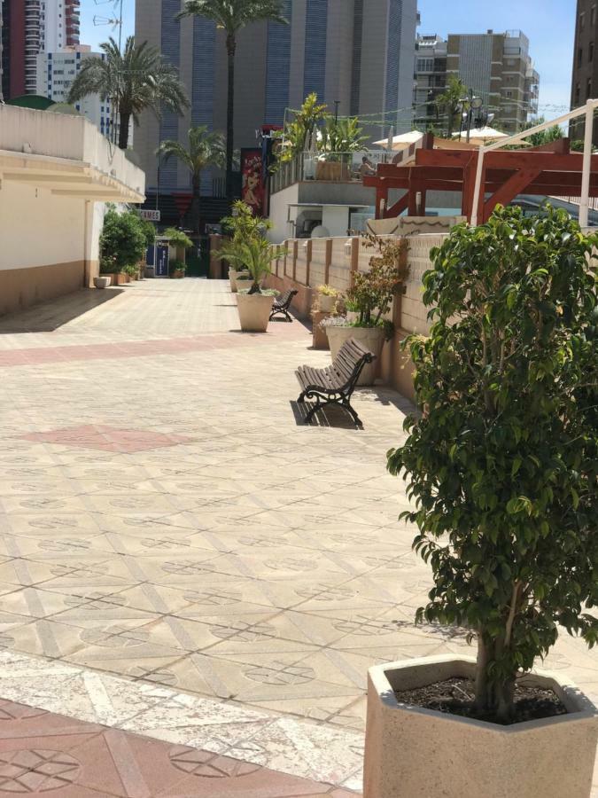 Apartamentos Provima بينايدورم المظهر الخارجي الصورة