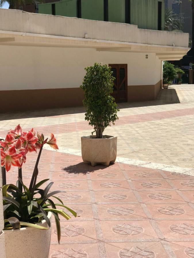 Apartamentos Provima بينايدورم المظهر الخارجي الصورة